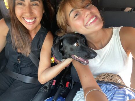angelarrochista