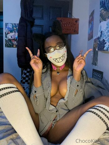 chocobabiekitten