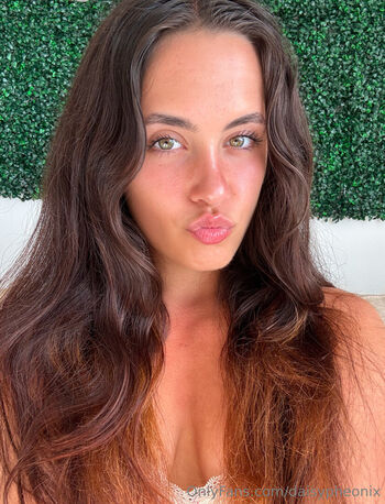 daisypheonix