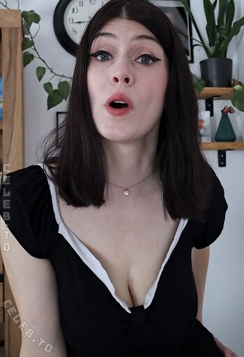 Dont Trust The Rabbit