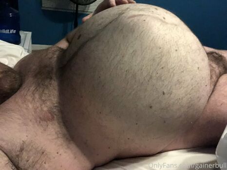 gainerbull
