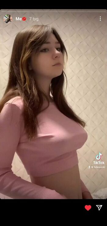 hdsonki