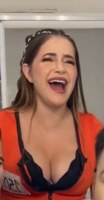 Laurinhafeer