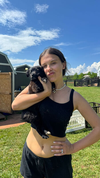Millie Bobby Brown