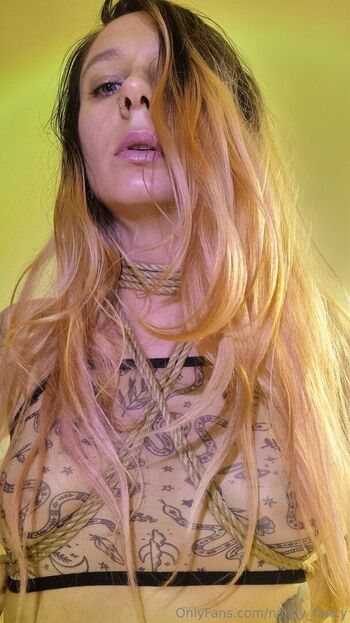 nancy_fancy