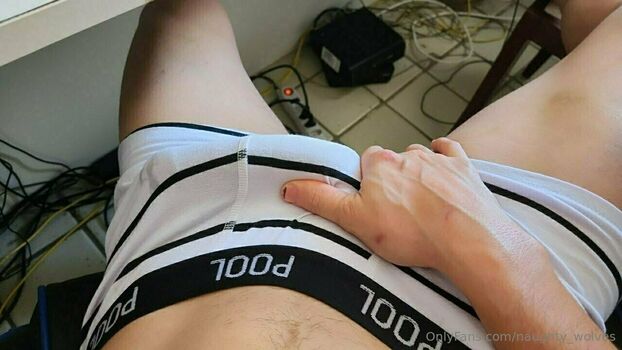 naughty_wolves