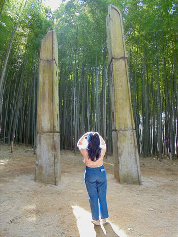 Sophia Phan