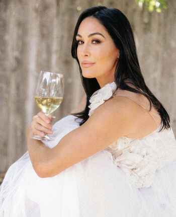 The Bella Twins