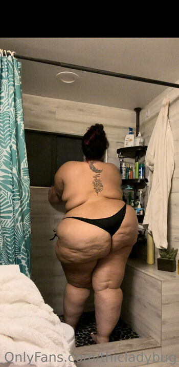 thicladybug