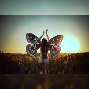 Wyndprinzessin